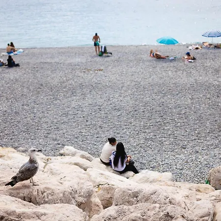 Nice Promenade Des Anglais Cosy Beach Apartment Parking アパート *
