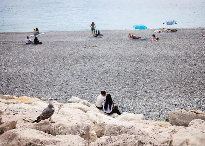 Cosy Nice Promenade Des Anglais Beach Apartment 2 Rooms Appartement *